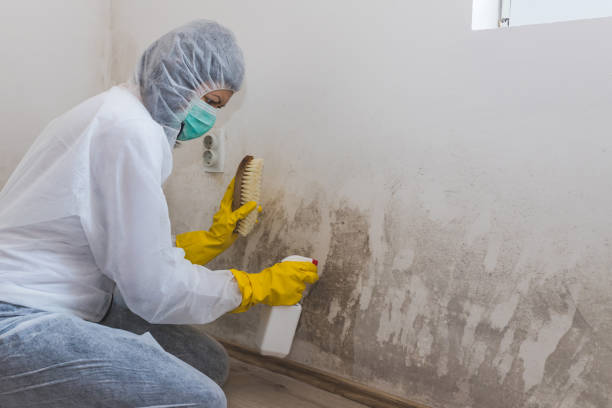 Best Mold Testing  in Lake Wilderness, VA