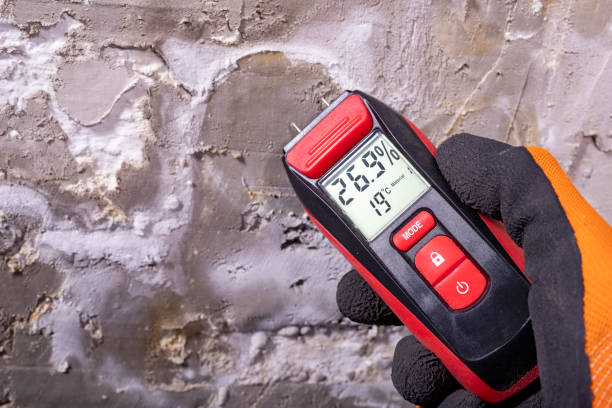 Best Same-Day Mold Removal  in Lake Wilderness, VA