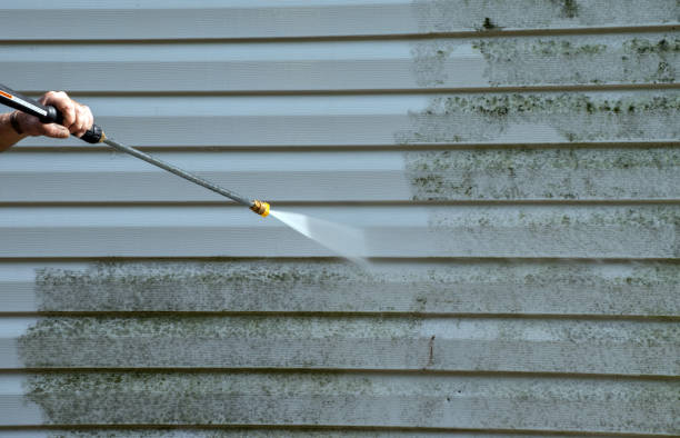 Best Mold Cleaning Services  in Lake Wilderness, VA