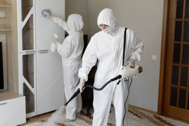 Best Professional Mold Removal  in Lake Wilderness, VA
