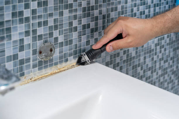 Best Best Mold Removal Companies  in Lake Wilderness, VA