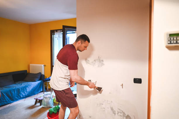 Best Local Mold Removal Service  in Lake Wilderness, VA